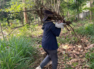 กิจกรรม “บ้านเมืองสะอาด บูชาคุณย่าโม” พารามิเตอร์รูปภาพ 16